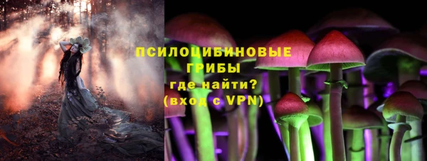 mdpv Магадан