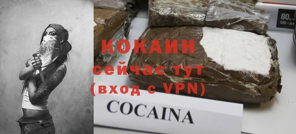 гидра Майский