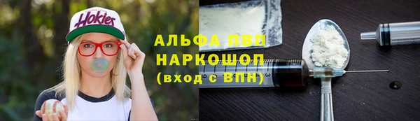 гидра Майский