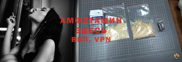 гидра Майский