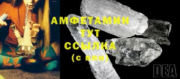 гидра Майский