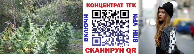 ТГК концентрат  Купить где  Ясный 