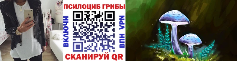 Купить  Ясный  Псилоцибиновые грибы прущие грибы 